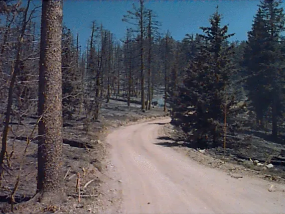 Dirt road at Clark Peak