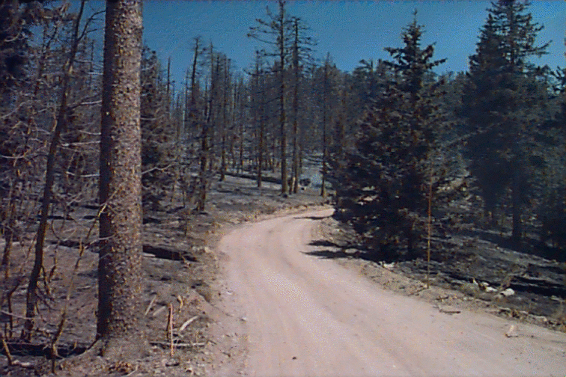 Dirt road at Clark Peak