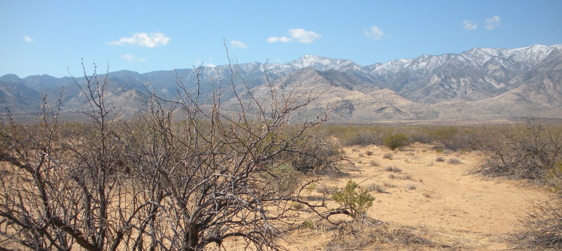 Desert View of Mount Graham