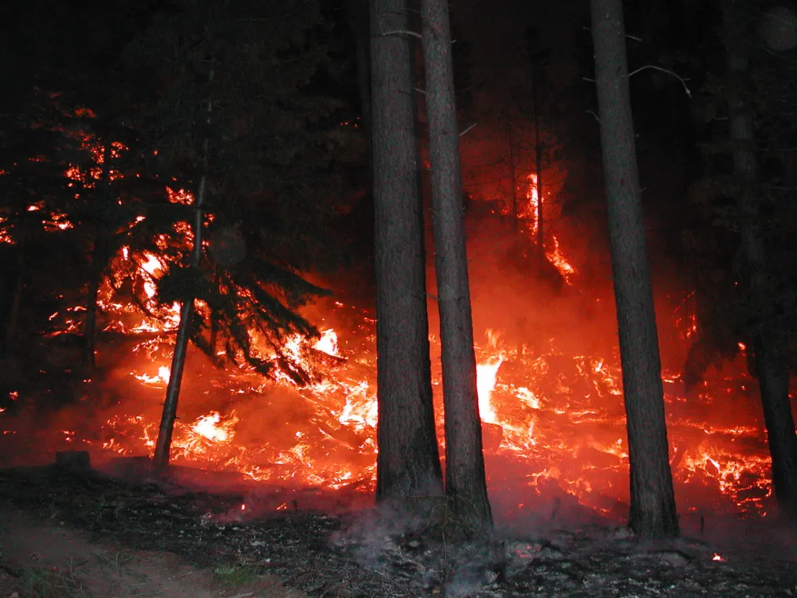 Embers glowing during fire