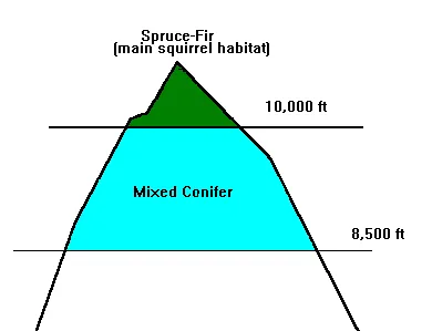 Main squirrel habitat