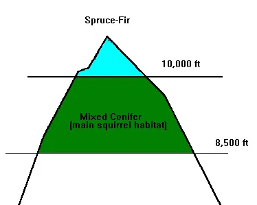 Squirrel habitat